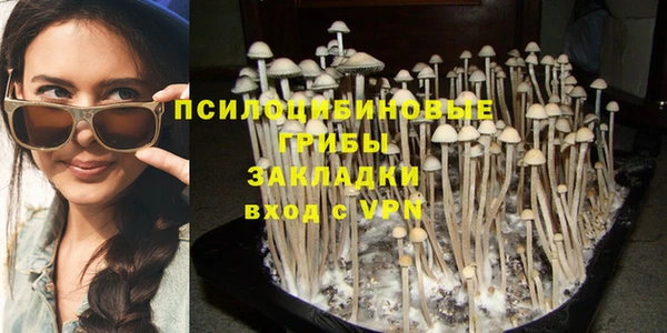 ECSTASY Заводоуковск
