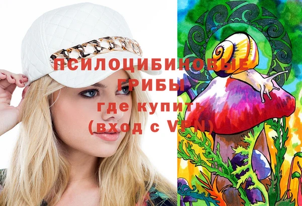 ECSTASY Заводоуковск