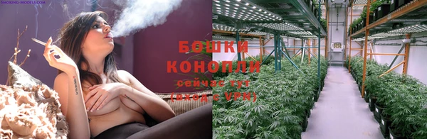 ECSTASY Заводоуковск